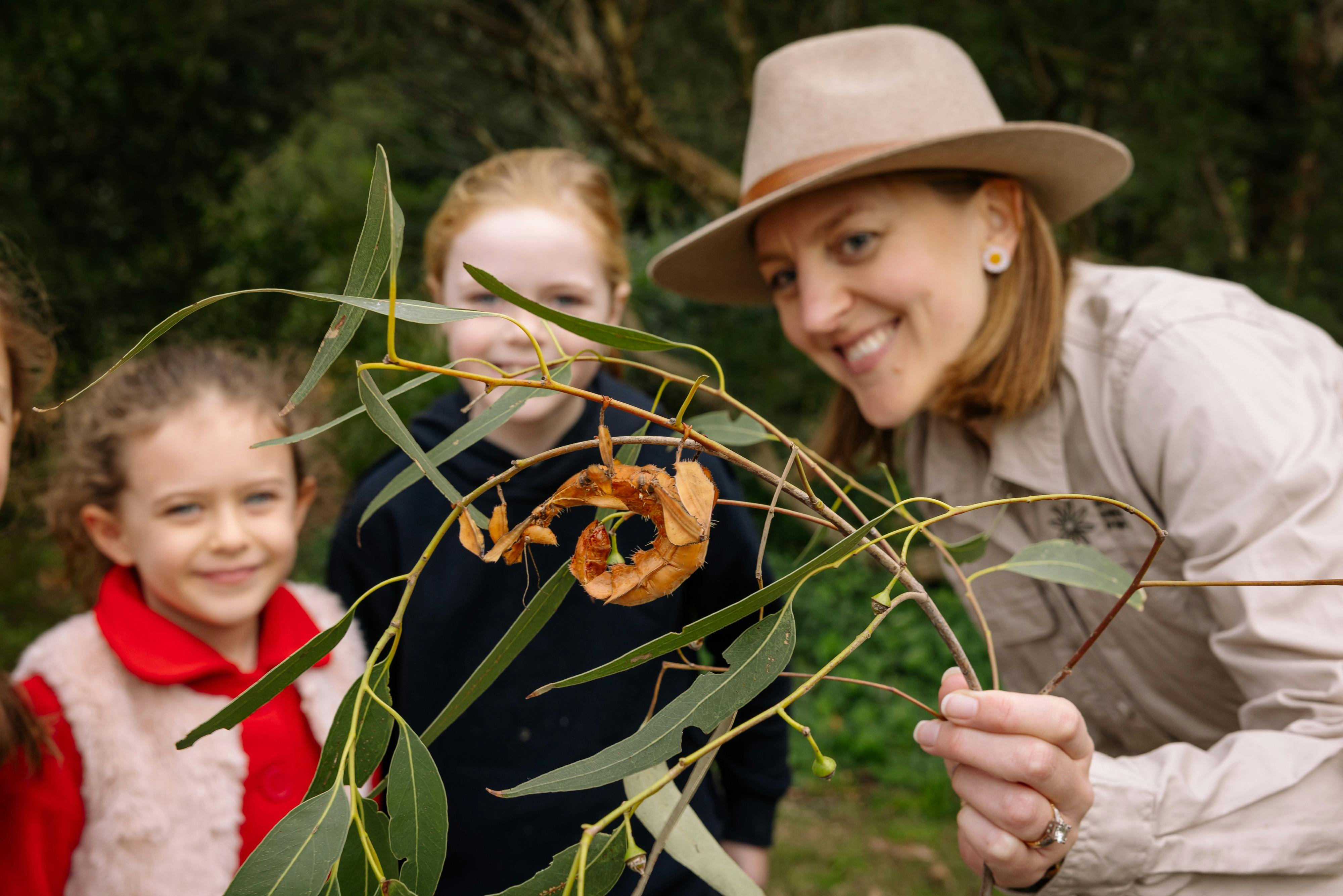Bug hunting at the Gardens