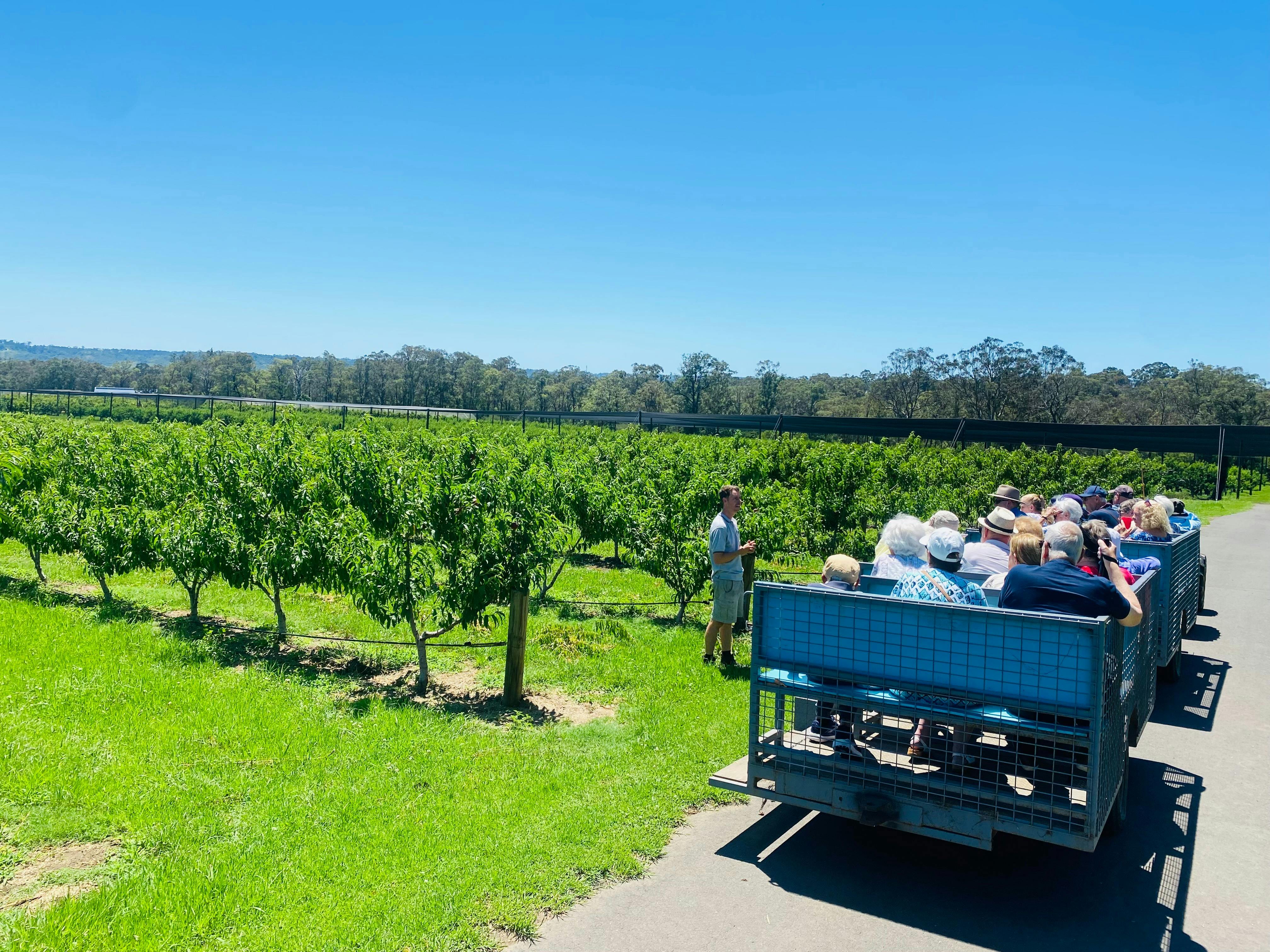 シーダークリーク