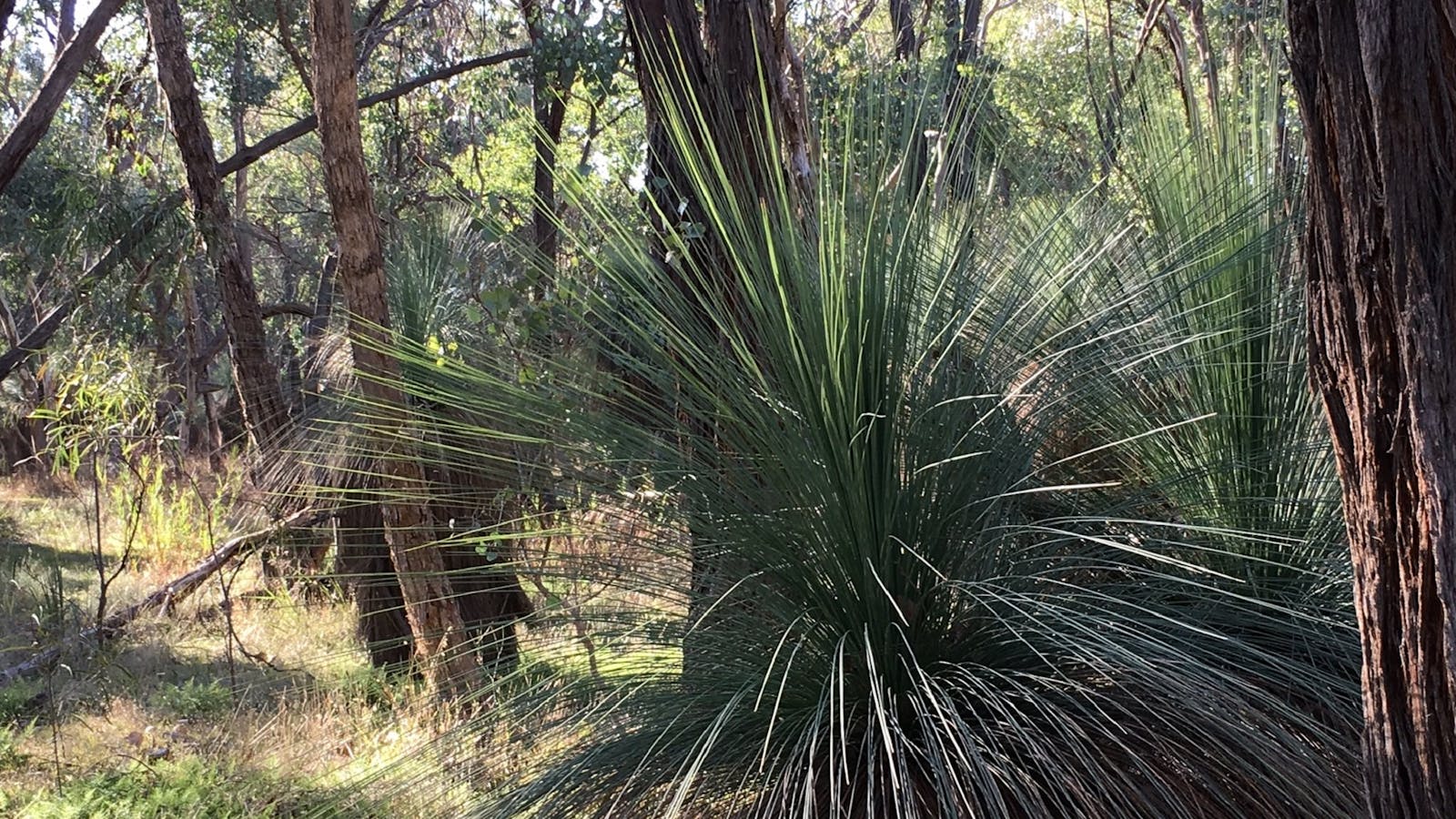 Warby Ovens National Park