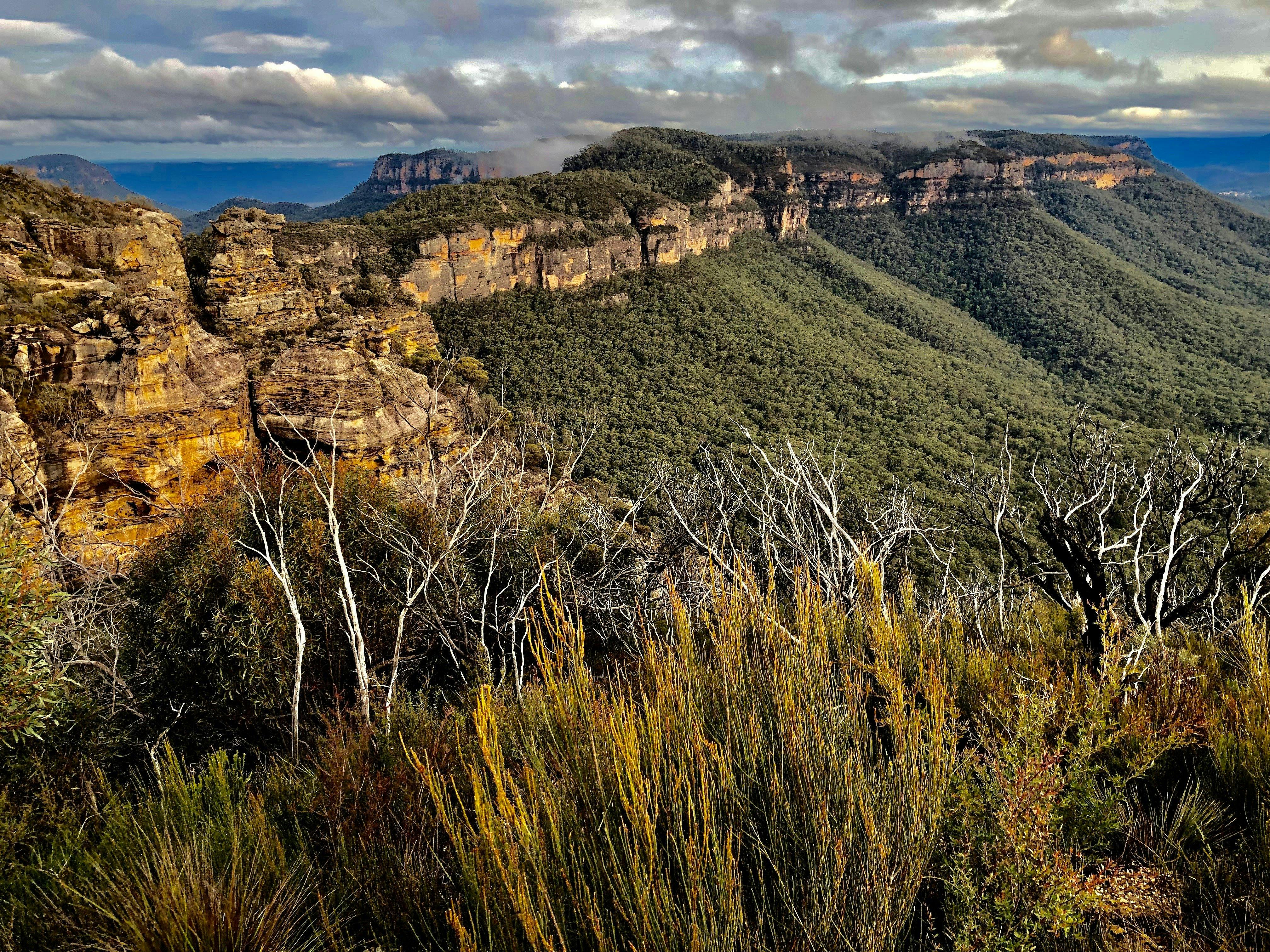 There are so many options for guests to enjoy everything the Blue Mountains has to offer