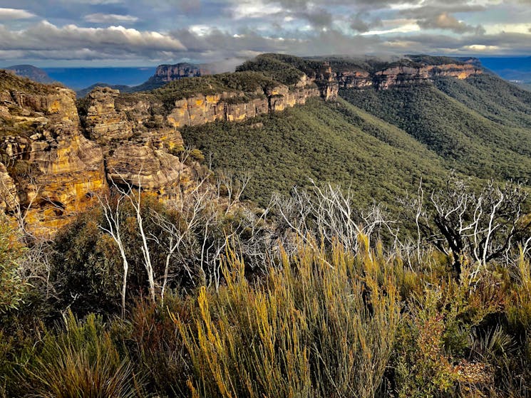 There are so many options for guests to enjoy everything the Blue Mountains has to offer