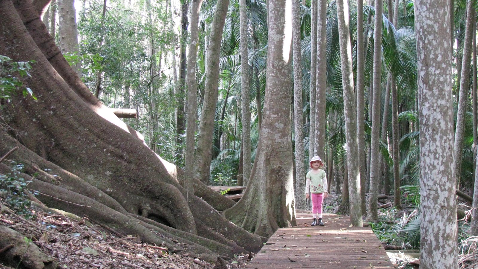 The Palms National Park