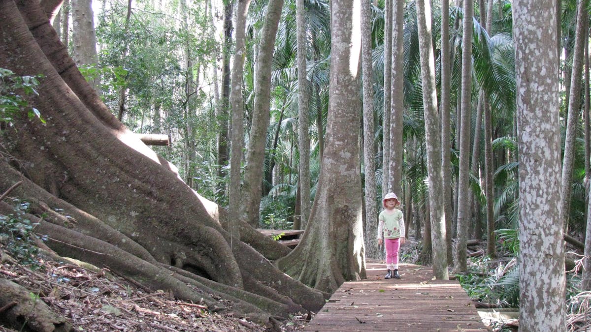 Young girl on boardwalk in palm forest.