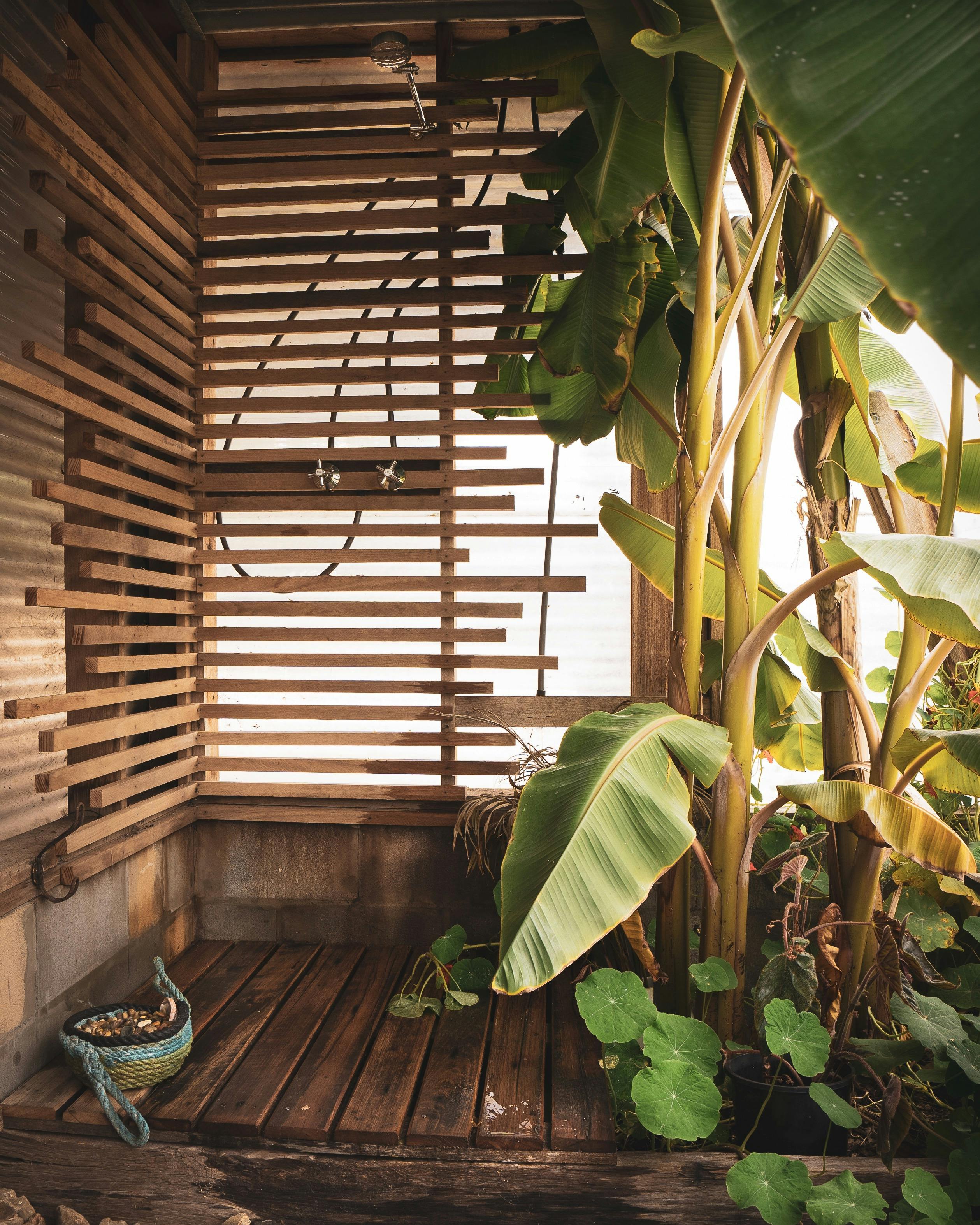 Shower amongst banana palms in Tasmania!