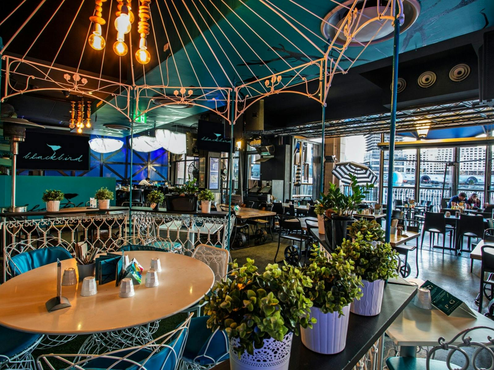 ブラックバードカフェ