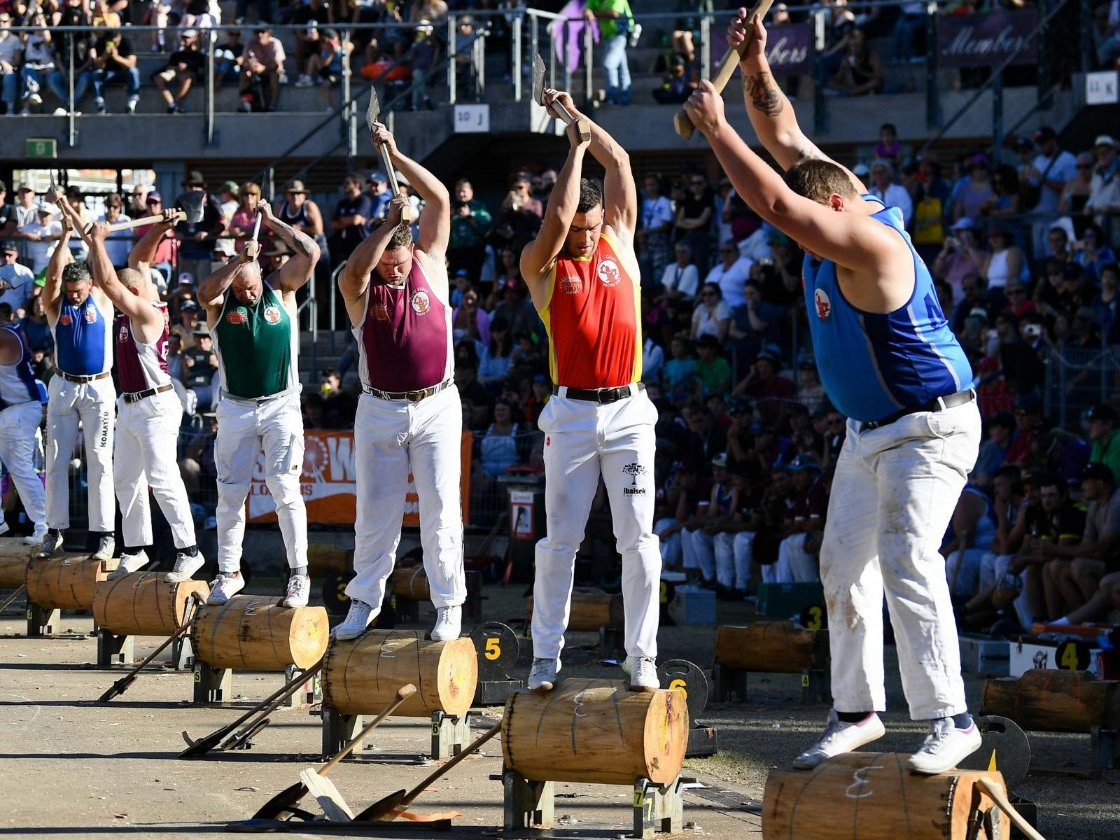 Sydney Royal Easter Show