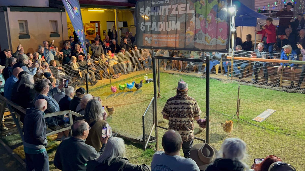 Tambo Chicken Racing Bens Chicken Racing | Attractions | Queensland