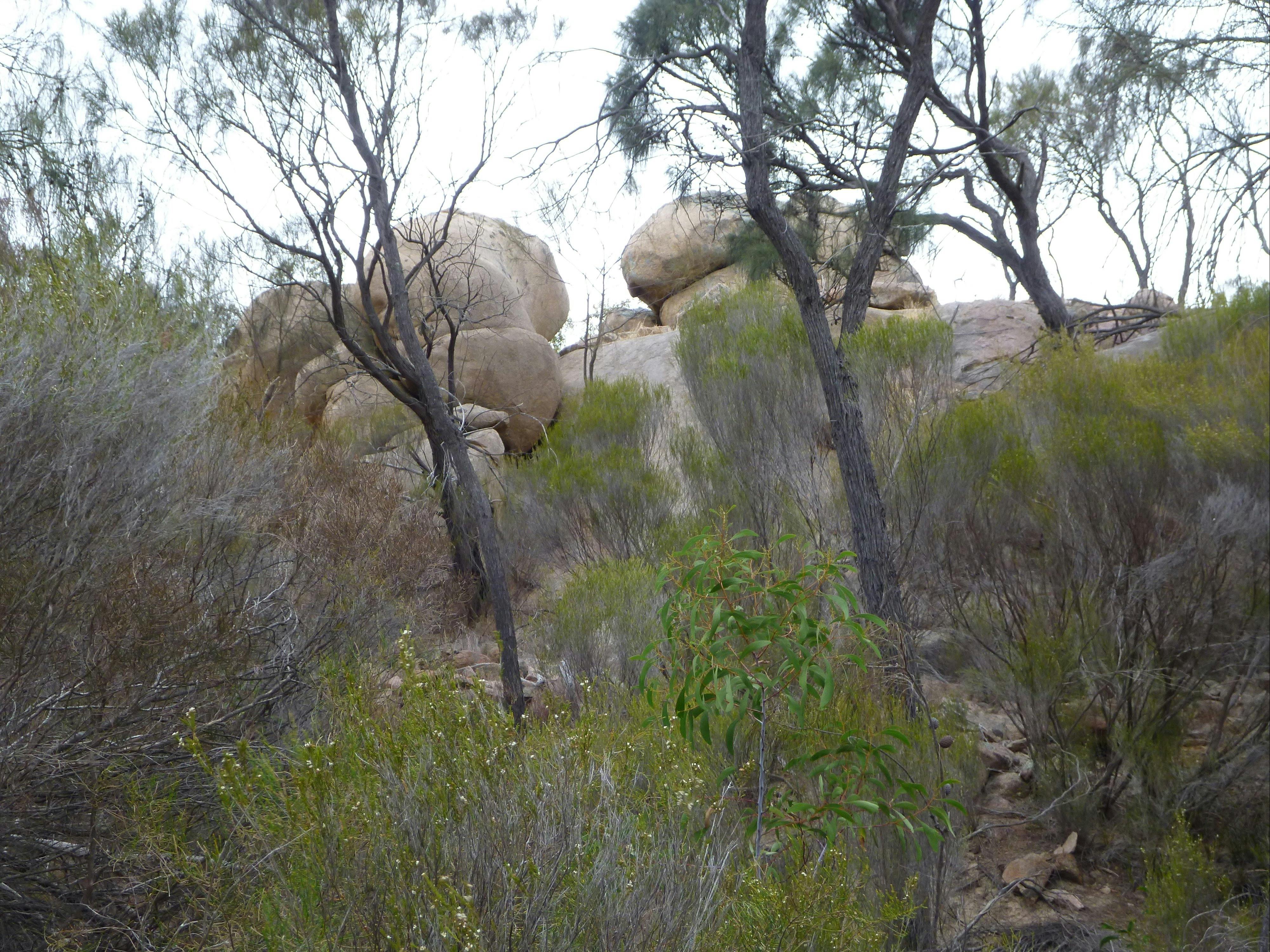 Tolmer Rocks - Mount Boothby Conservation Park