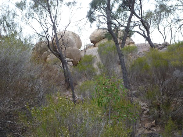 Tolmer Rocks - Mount Boothby Conservation Park