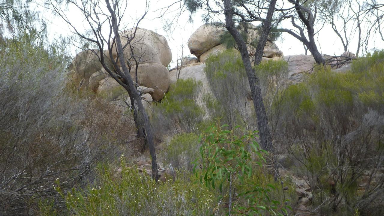 Tolmer Rocks