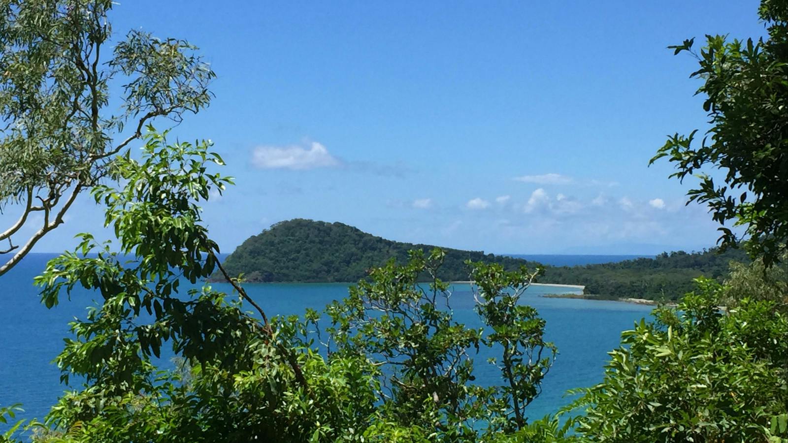 Bloomfield Track looking at Cape Tribulation beach Touring with Tony's Tropical Tours