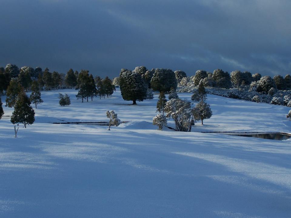 Mountain Vista Golf Club photo
