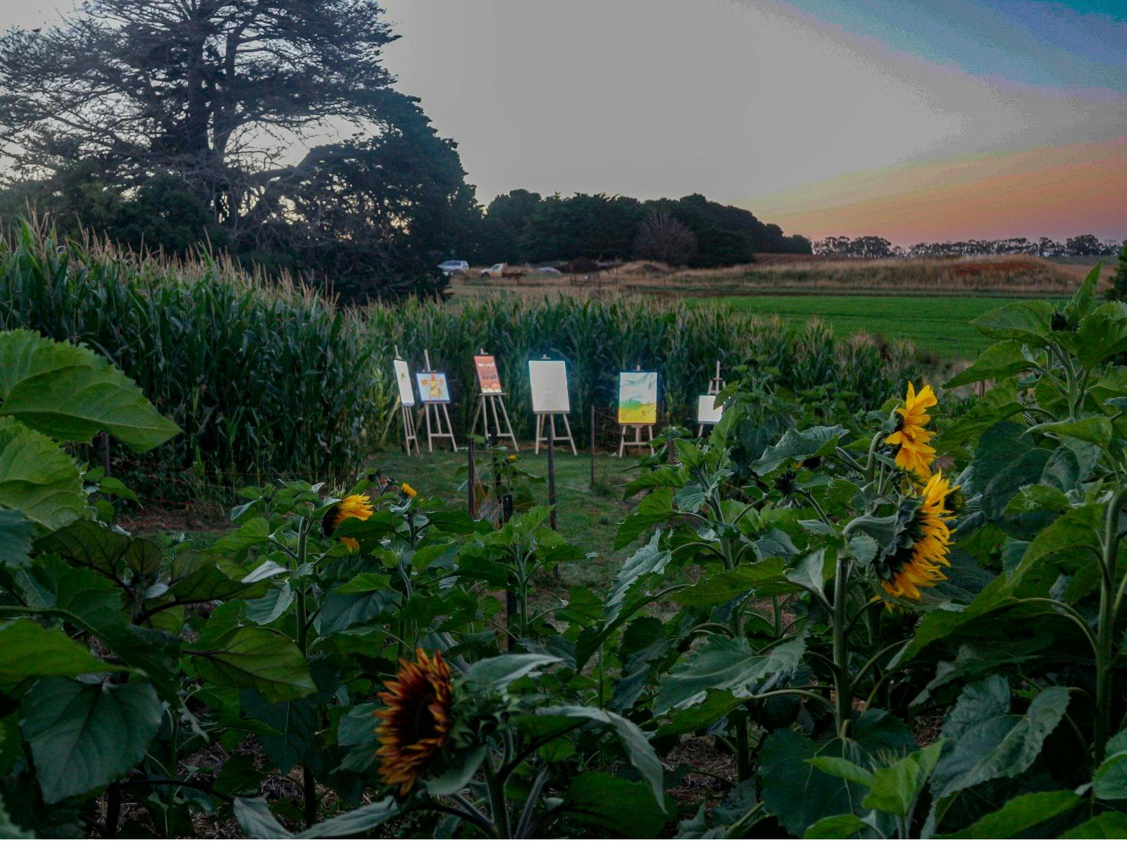 artworks shown on lightboxes in a flower patch