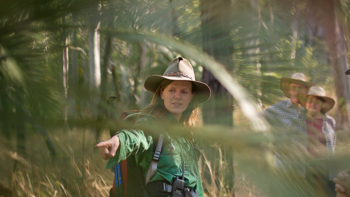 A tour guide pointing and sharing her knowledge of cycads with her group at Carnarvon Gorge.