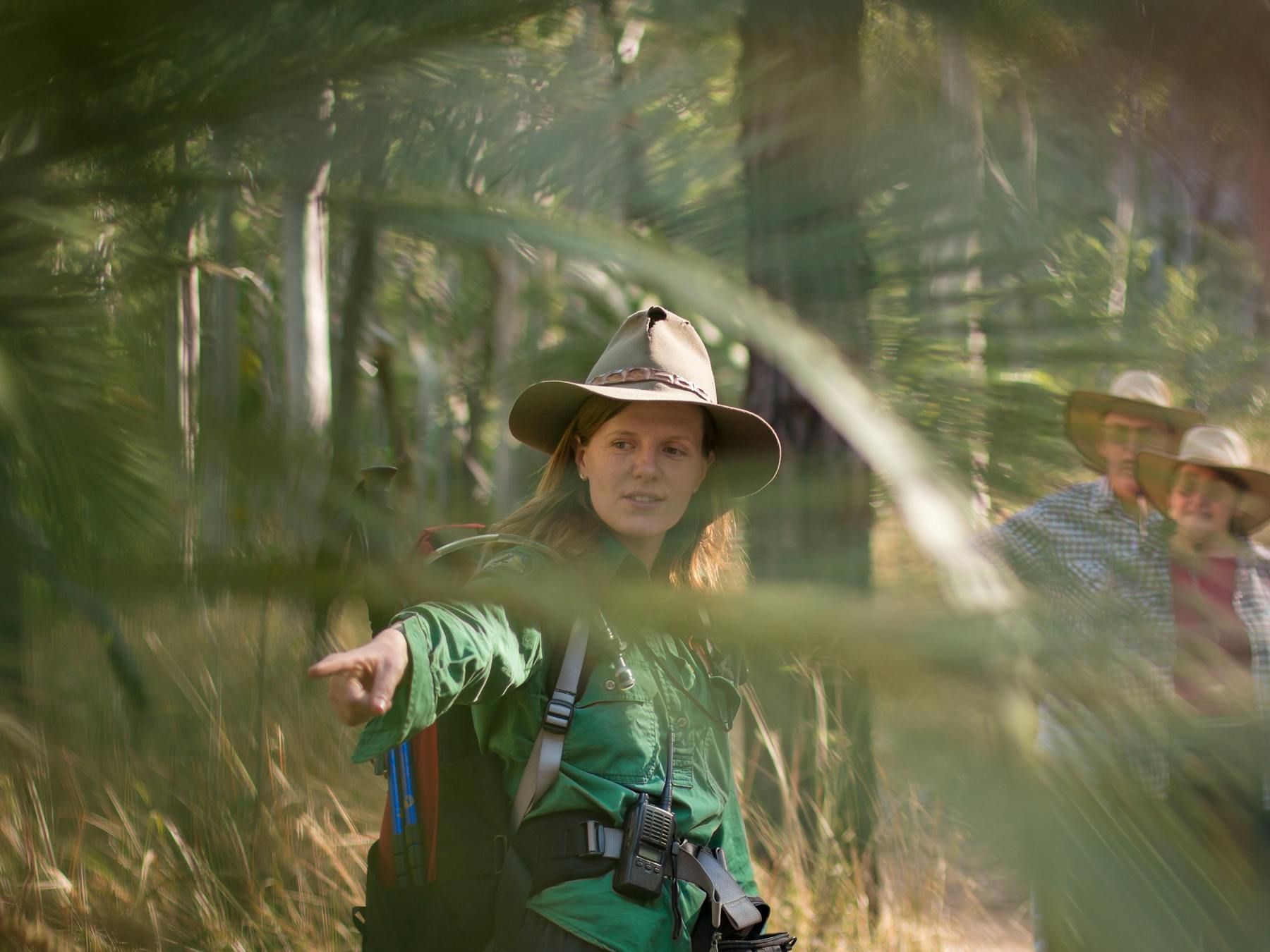 A tour guide pointing and sharing her knowledge of cycads with her group at Carnarvon Gorge.