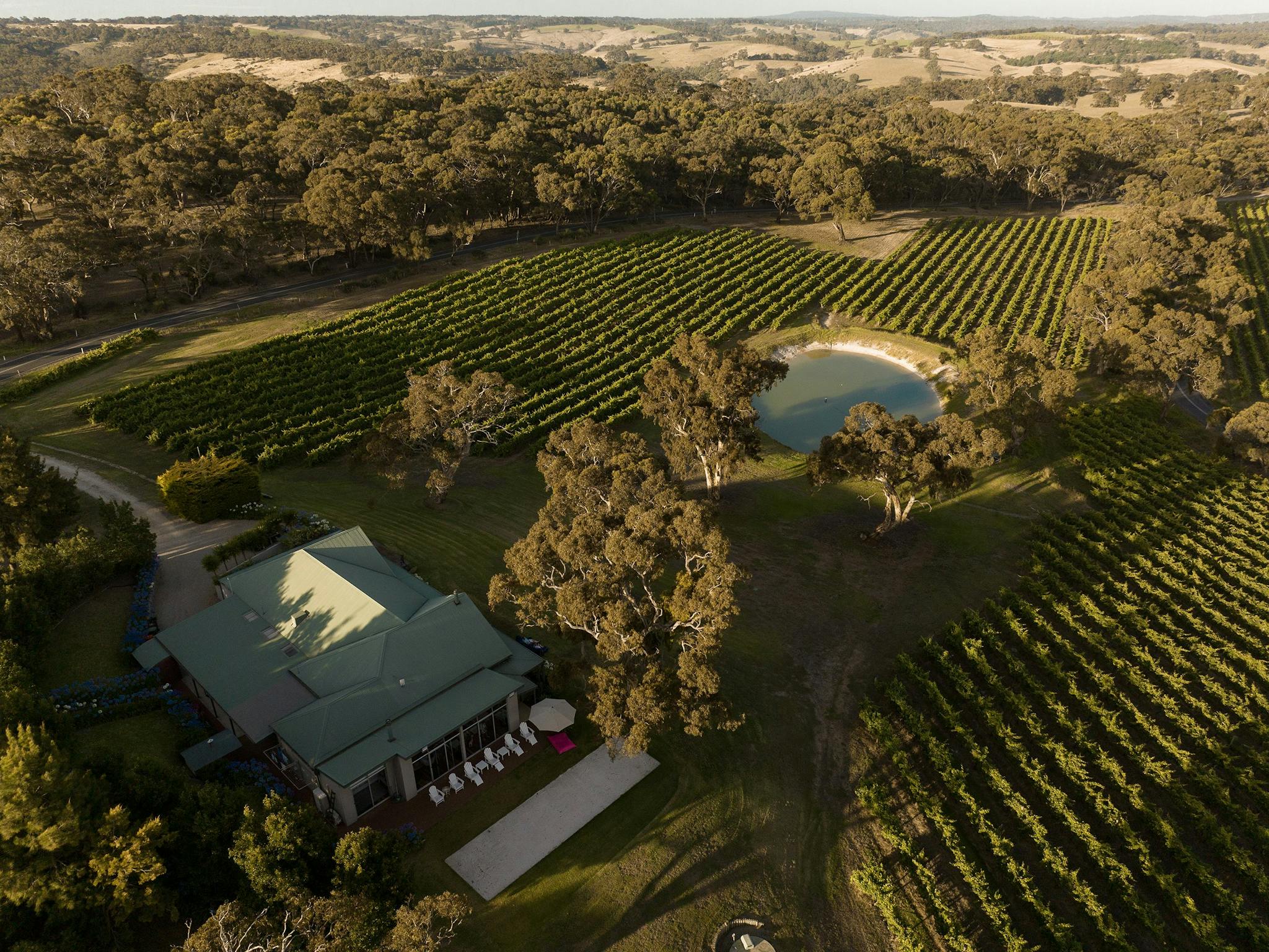 Drone image overlooking Altamira Retreat and surrounding vineyard