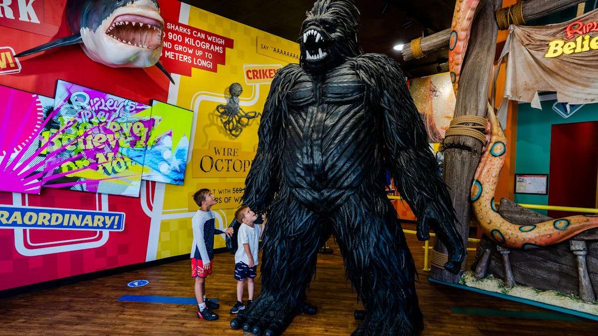 Ripley's Believe  It or Not! Entrance