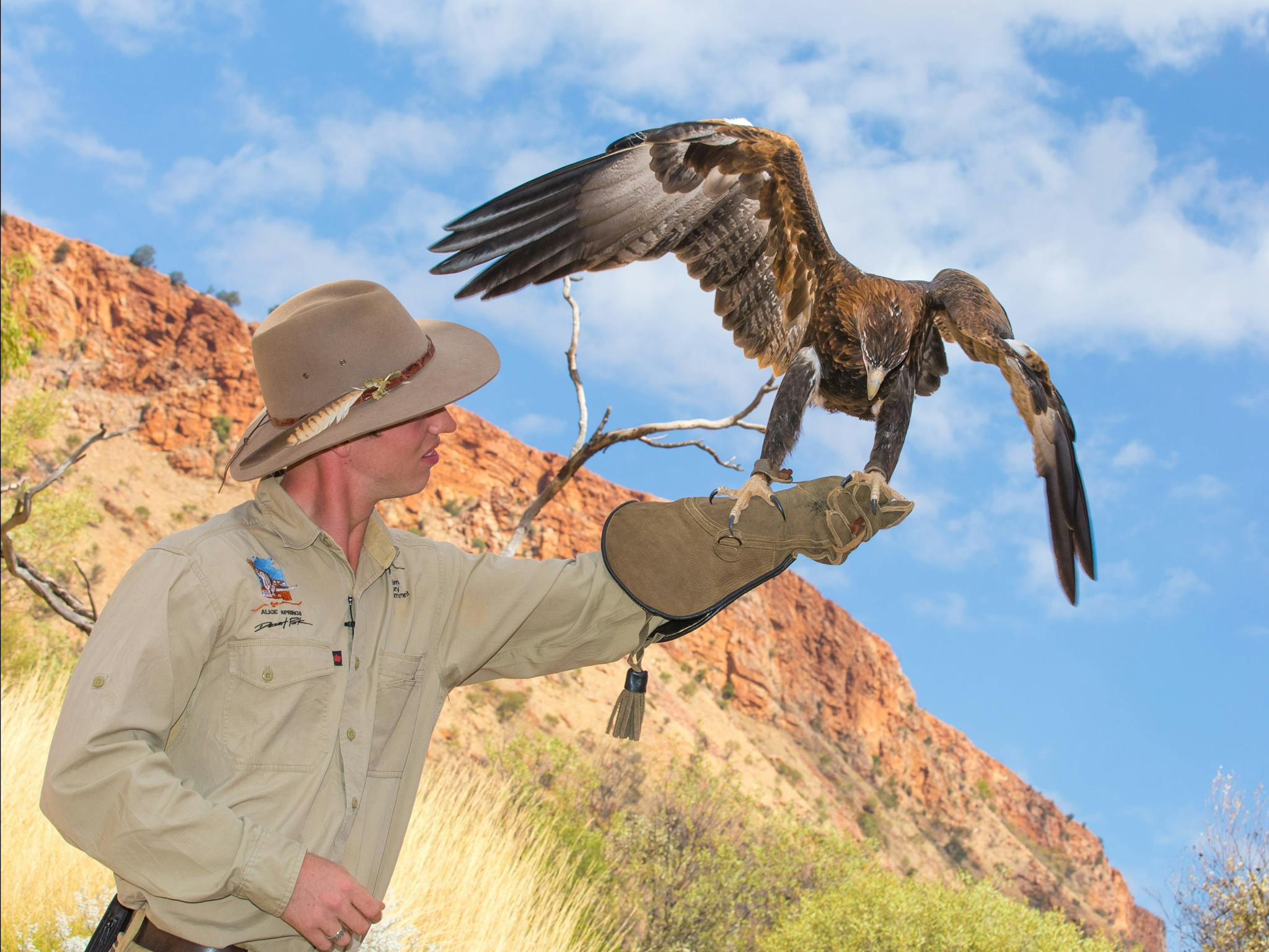 Eagle Encounter