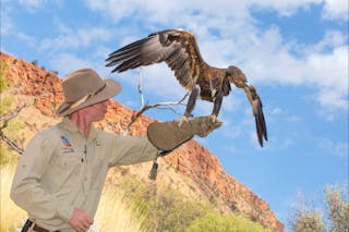 Alice Springs Desert Park