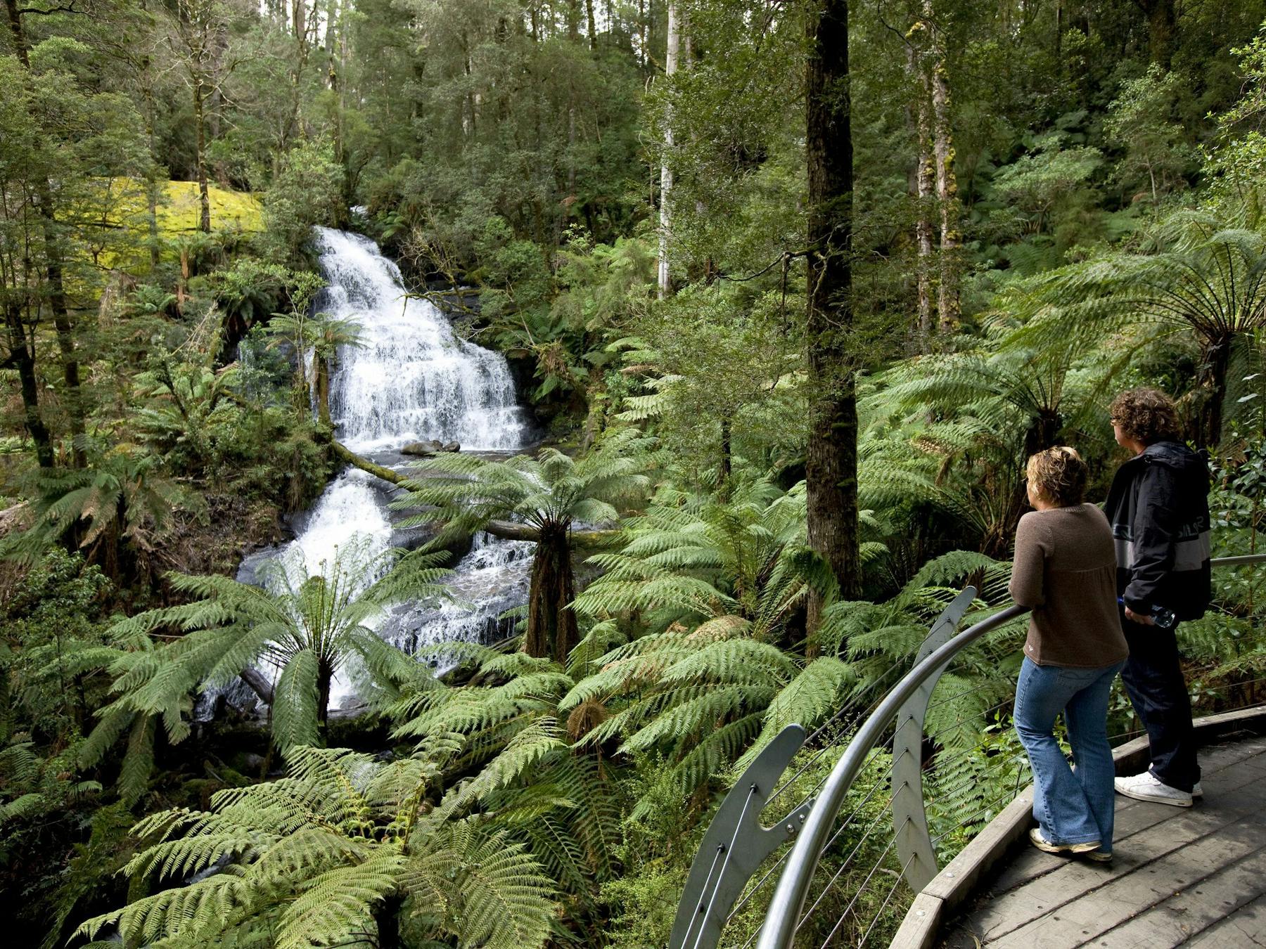 Great Otway National Park edit