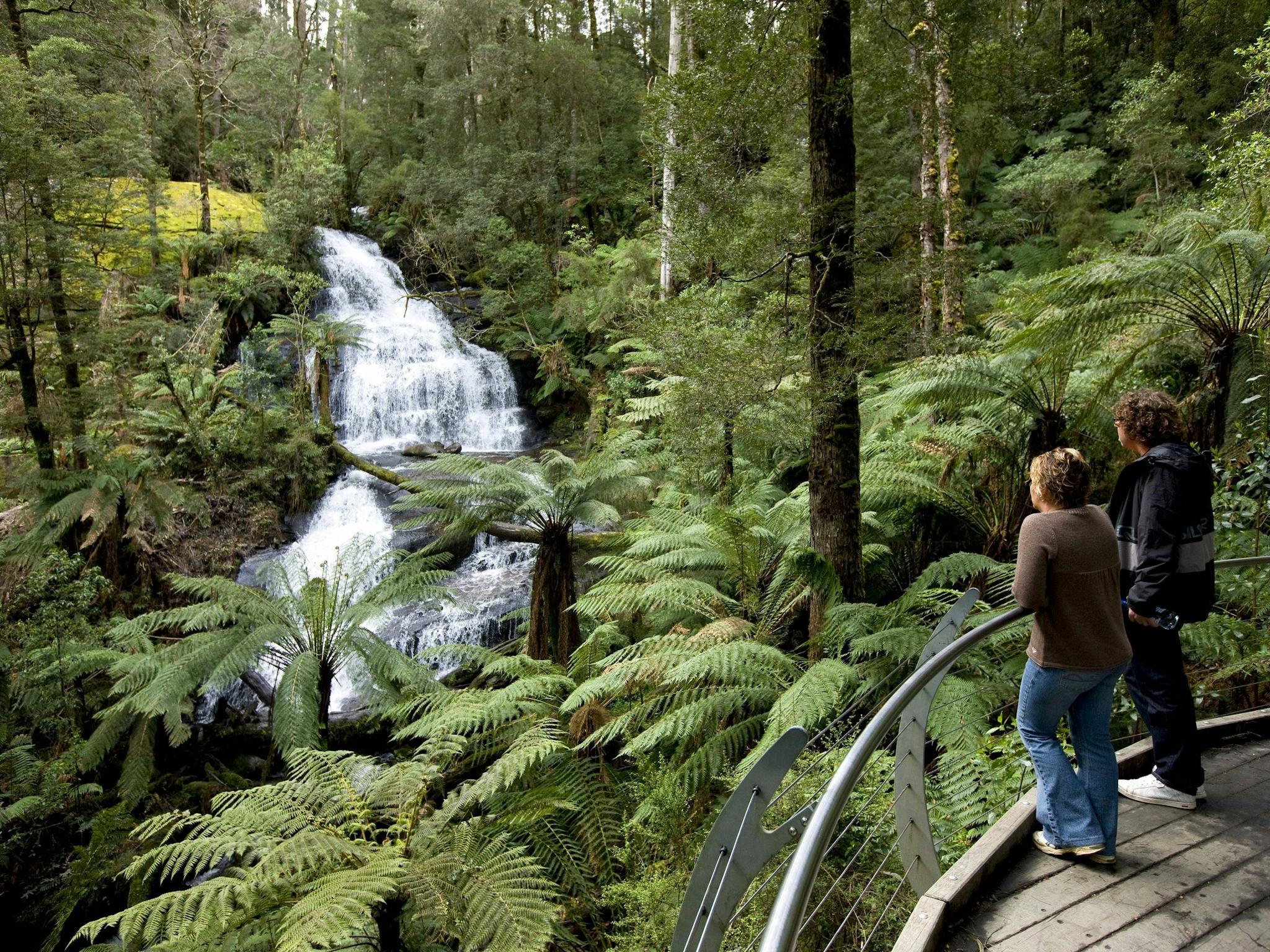 Great Otway National Park