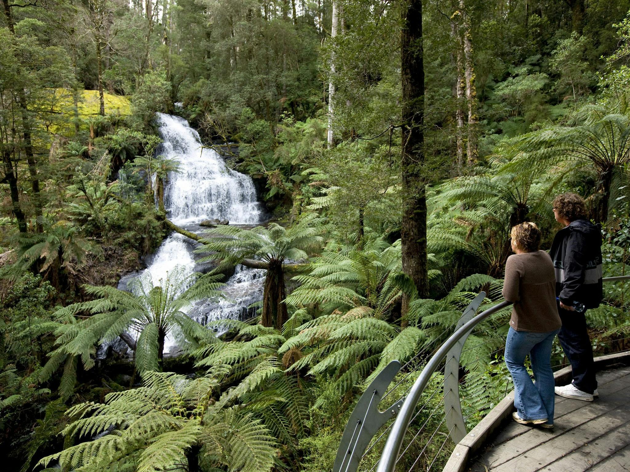 Great Otway National Park edit
