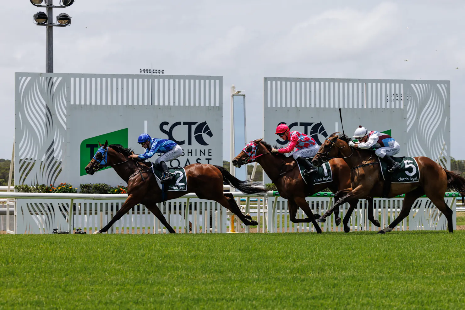 thoroughbred horses racing and crossing the winning post