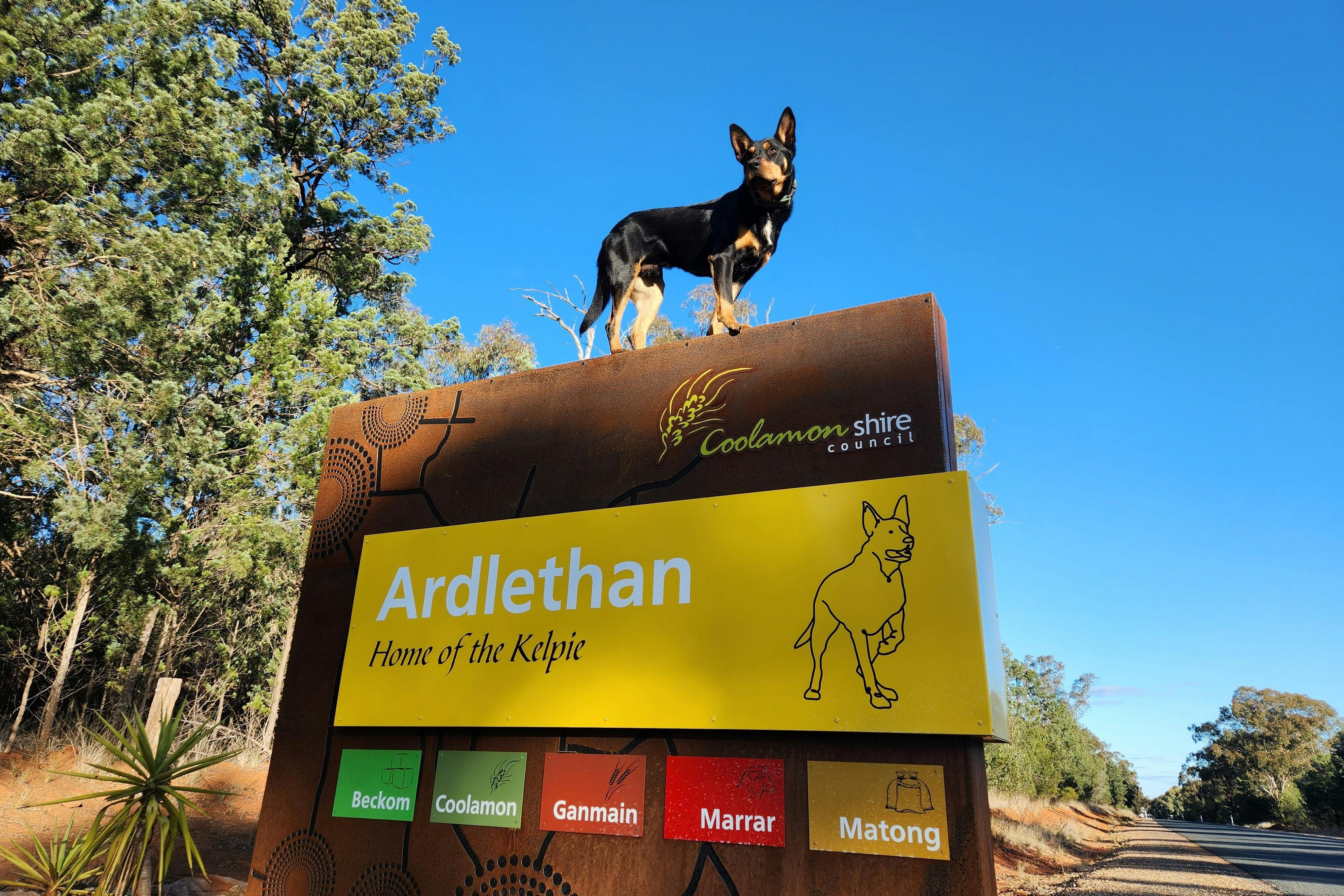 Capture Coolamon Shire Winner 2023 - "Home of the Kelpie' by Alesha Bennett