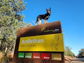 Ardlethan image