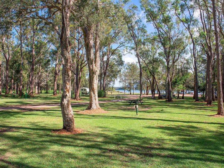 Flat, grassy and shaded unpowered camping sites