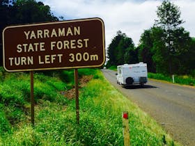 Yarraman image