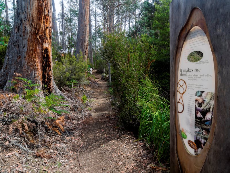 Lake St Clair (Cradle Mountain - Lake St Clair National Park)
