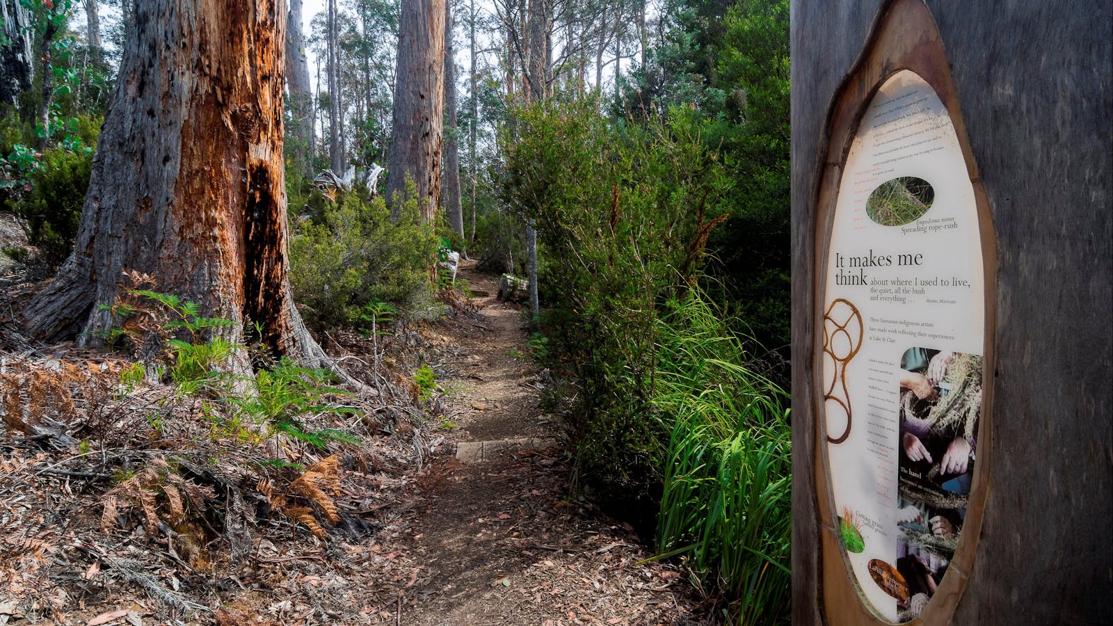 Lake St Clair Aboriginal cultural walk