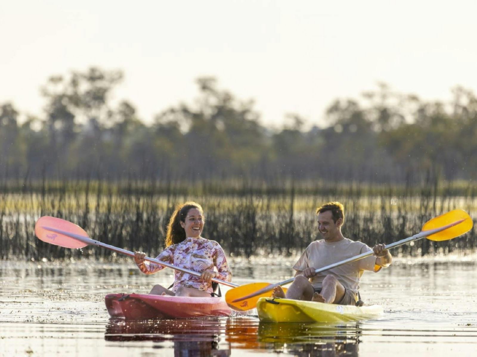 Morning or Afternoon Kayak Morning or Afternoon Kayak