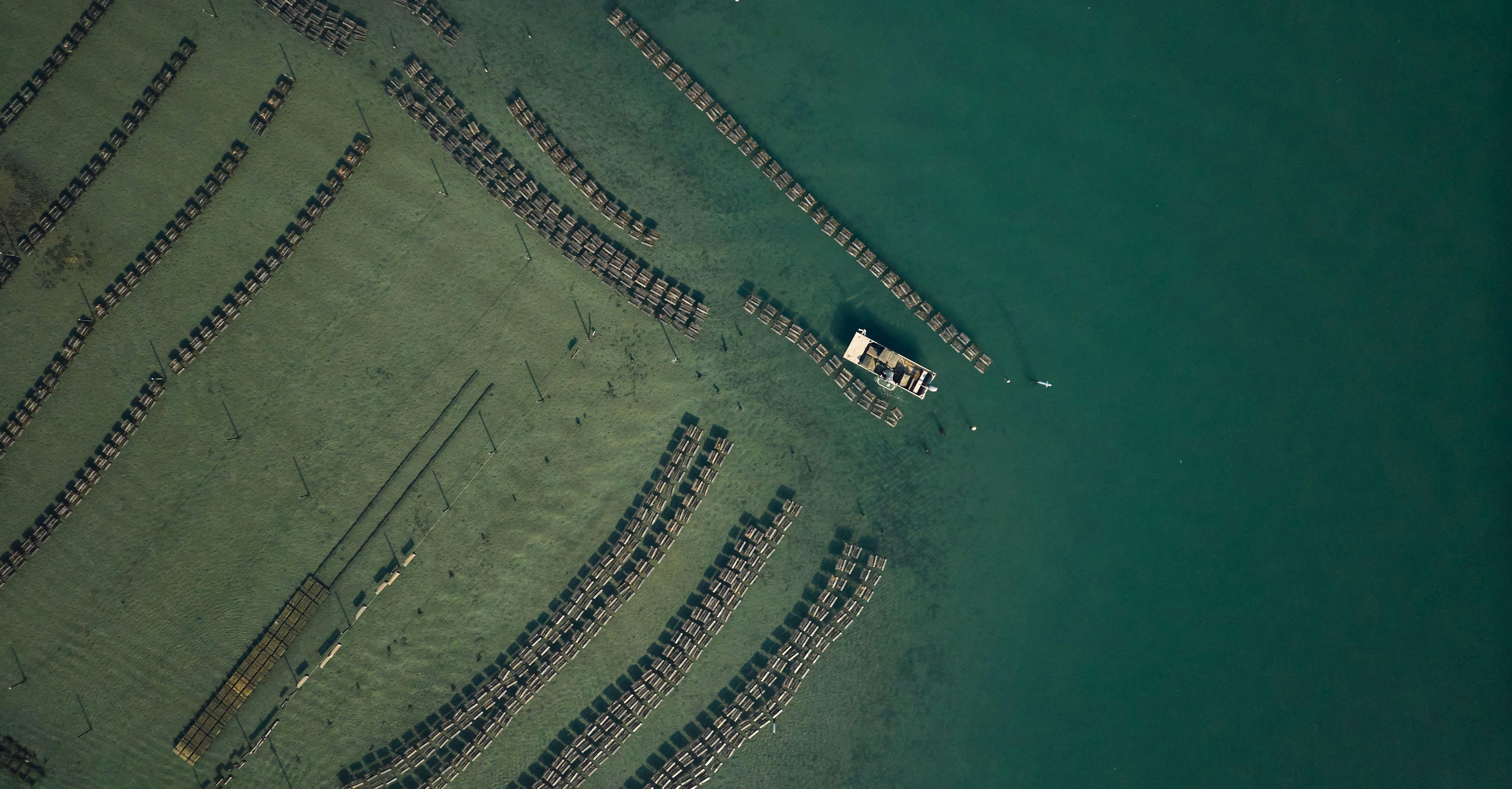 Pambula River Mouth oysters, Sapphire Coast NSW