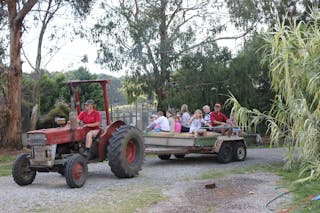 Rain Hayne and Shine Farmyard