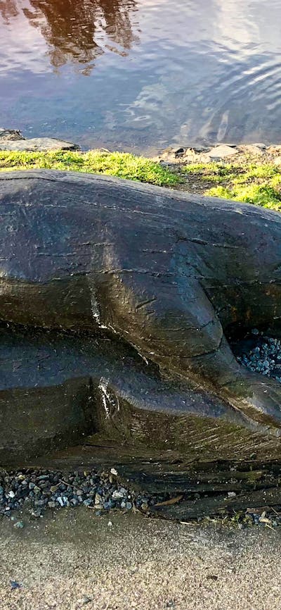 Sculpture at Kiamma Creek