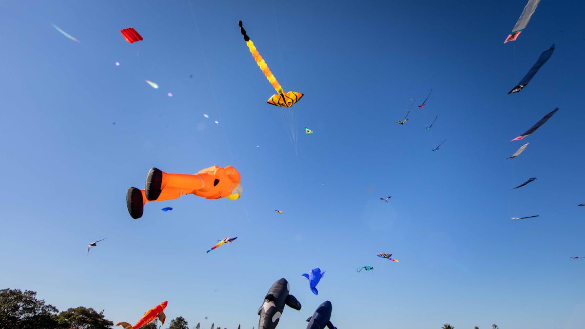 KiteFest