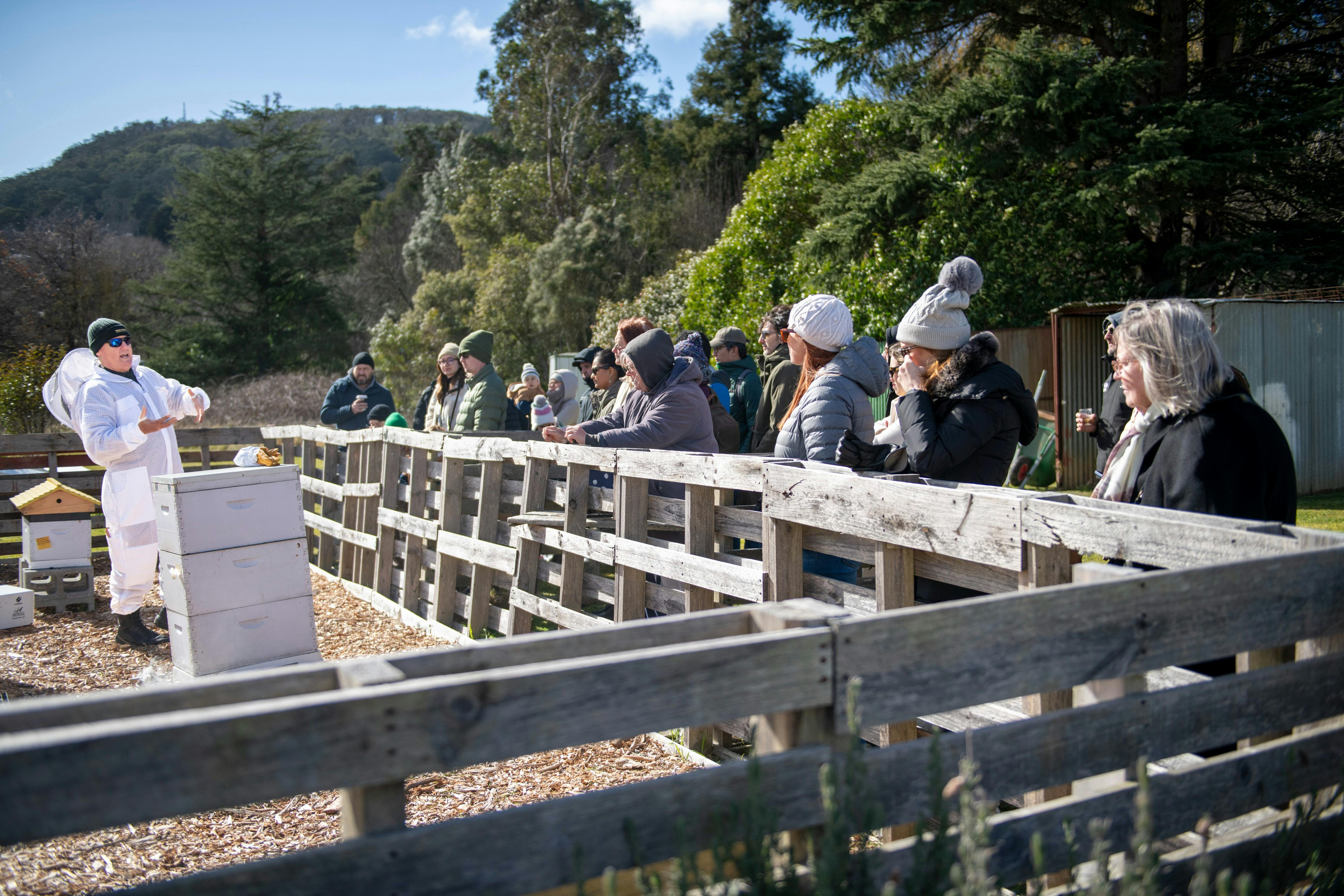 HoneyLand - Festival of Bees, Honey and Beekeeping