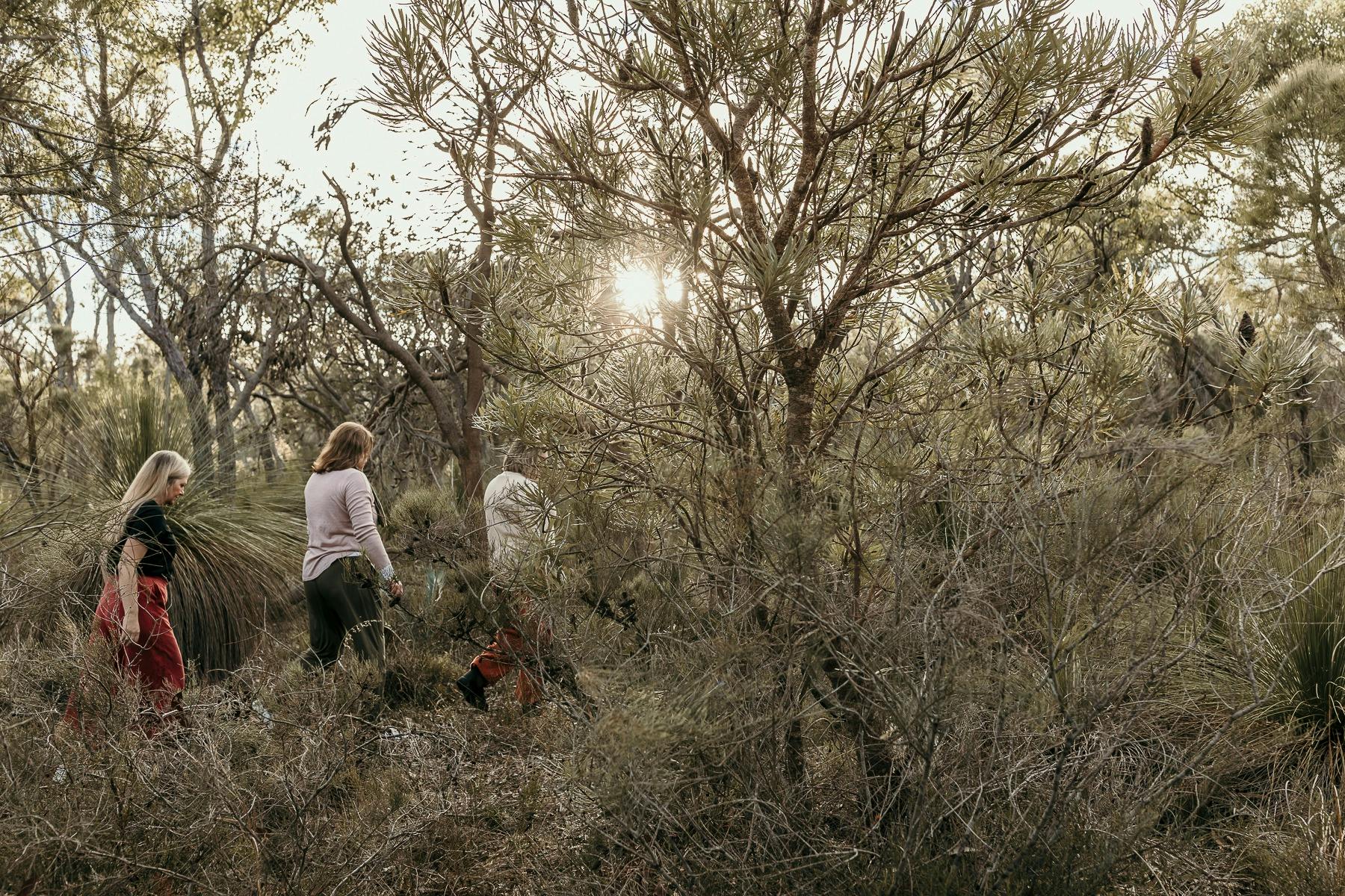 Mindful in Nature, West Perth, Western Australia