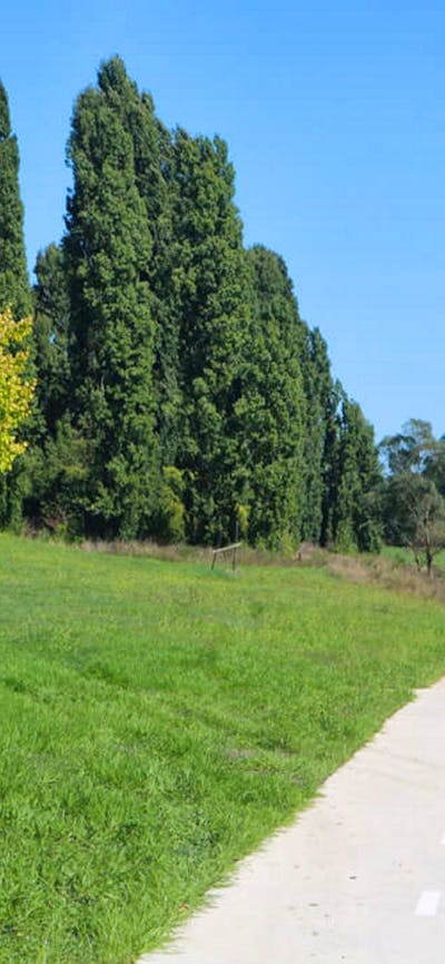 Wollondilly River Walkway, path along side the river