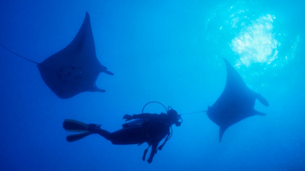 Adrenalin Snorkel and Dive