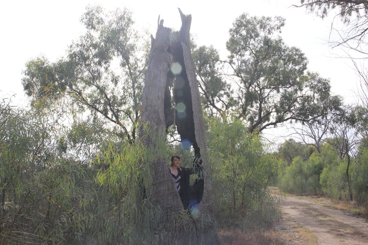 Martin Bend Wetland and Walking Trail
