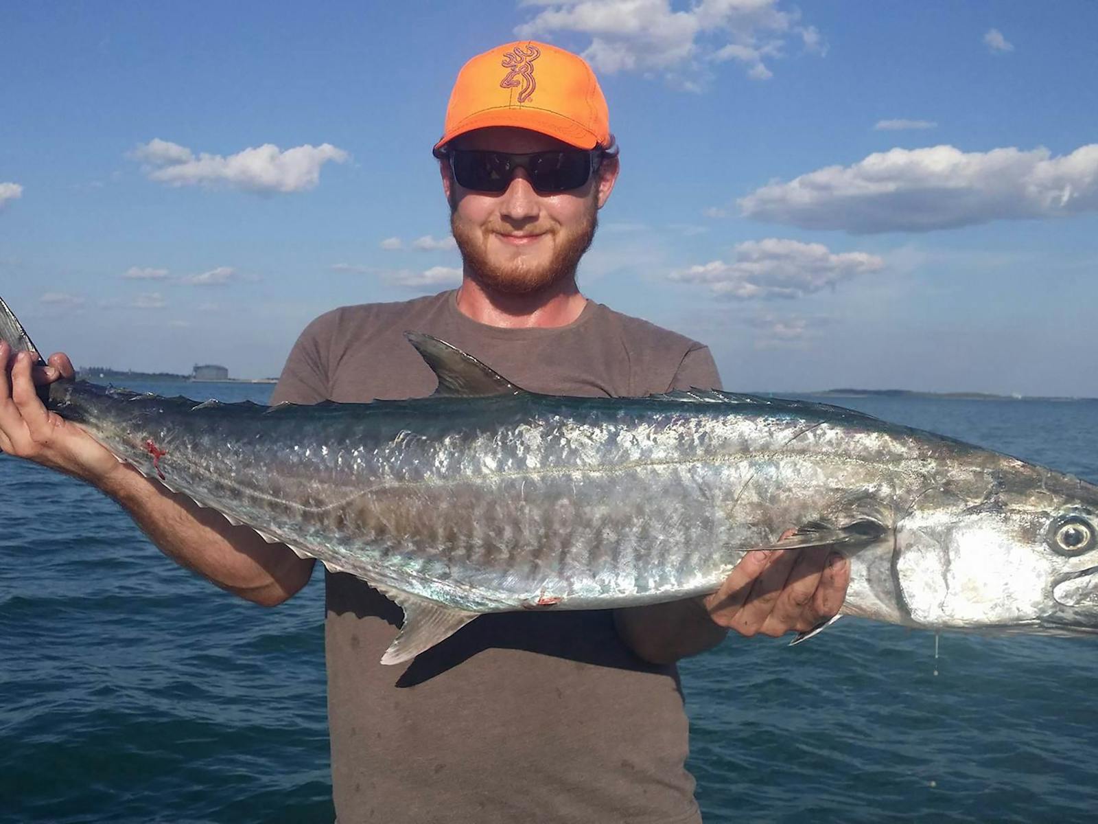 barracuda darwin