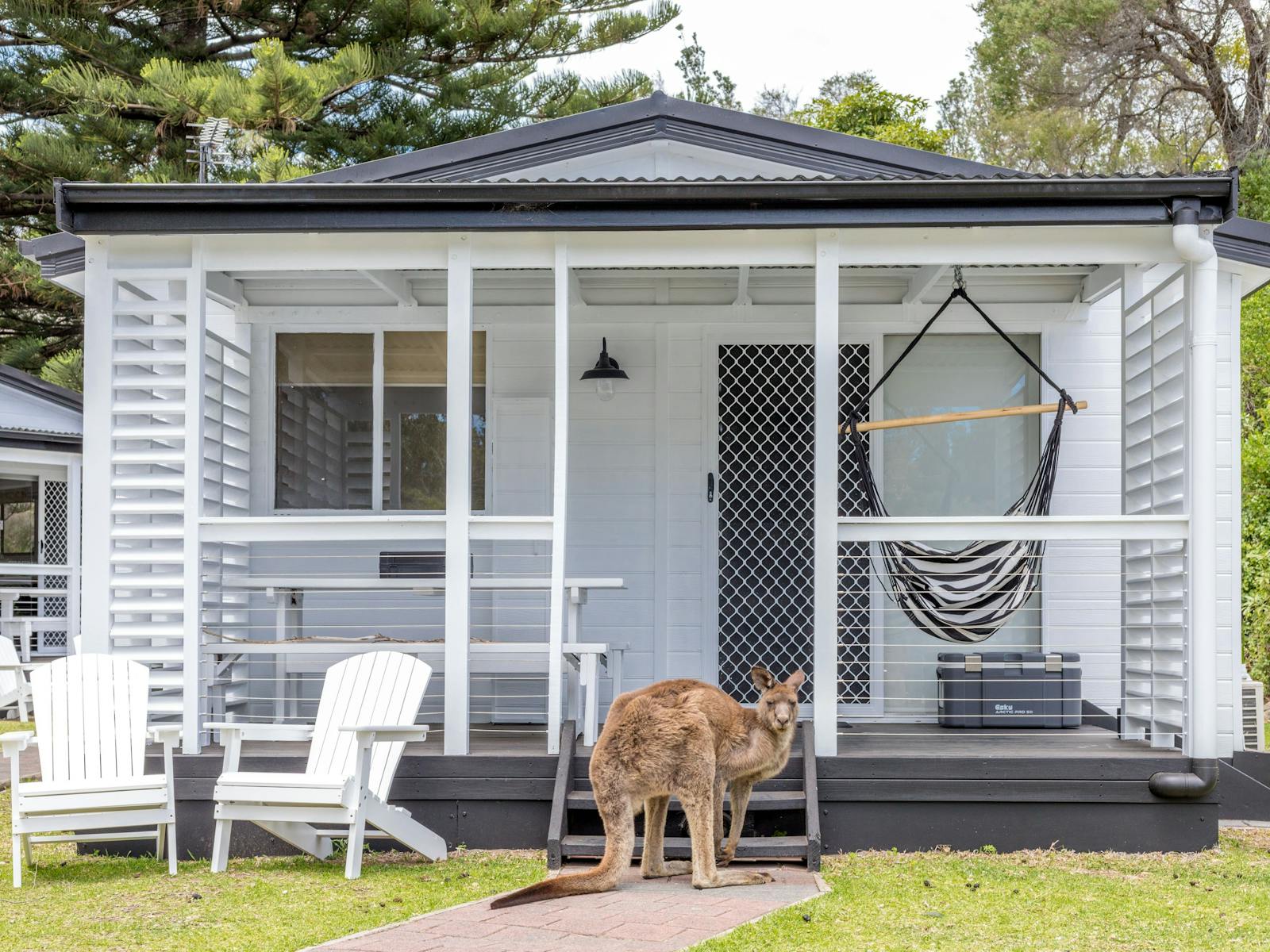 The Cove Jervis Bay - Boat Shack