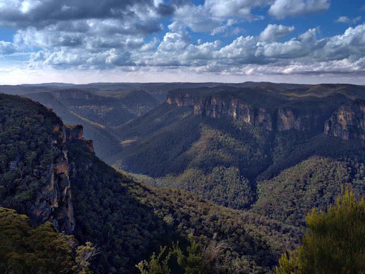 Grose Valley, Blue Mountains National Park, Blue Mountains Eco Tours