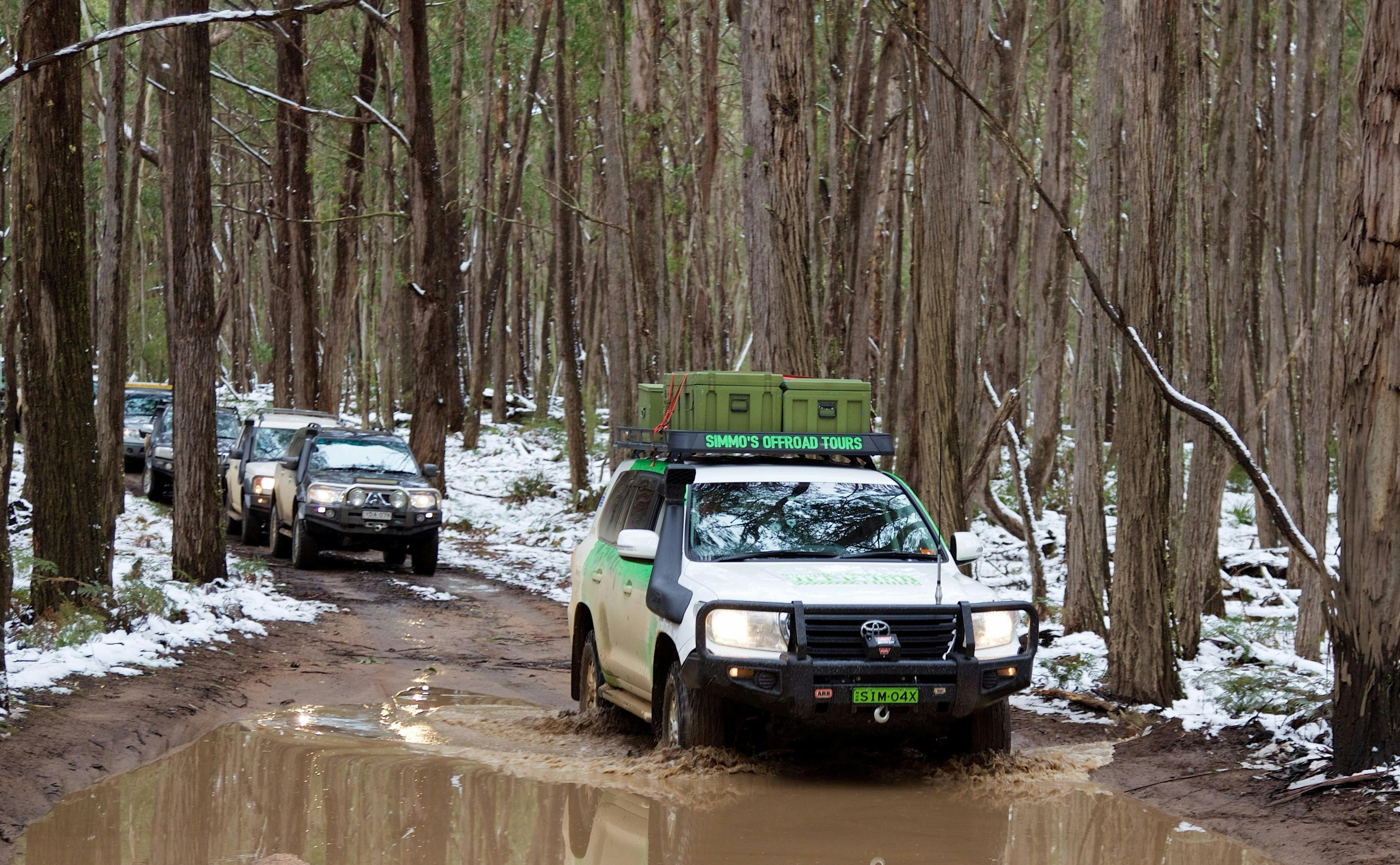 Simmo's Tag a long tours