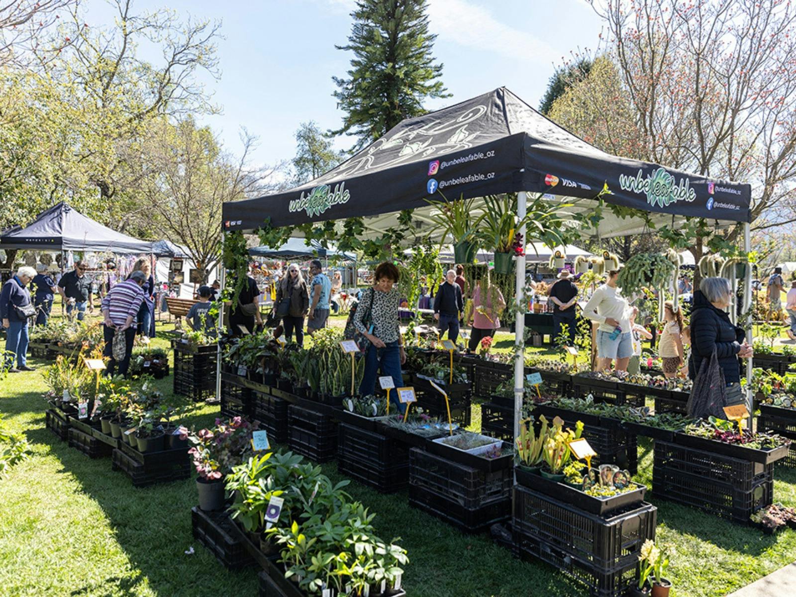 People browsing stalls under shady trees at a sunny outdoor market.