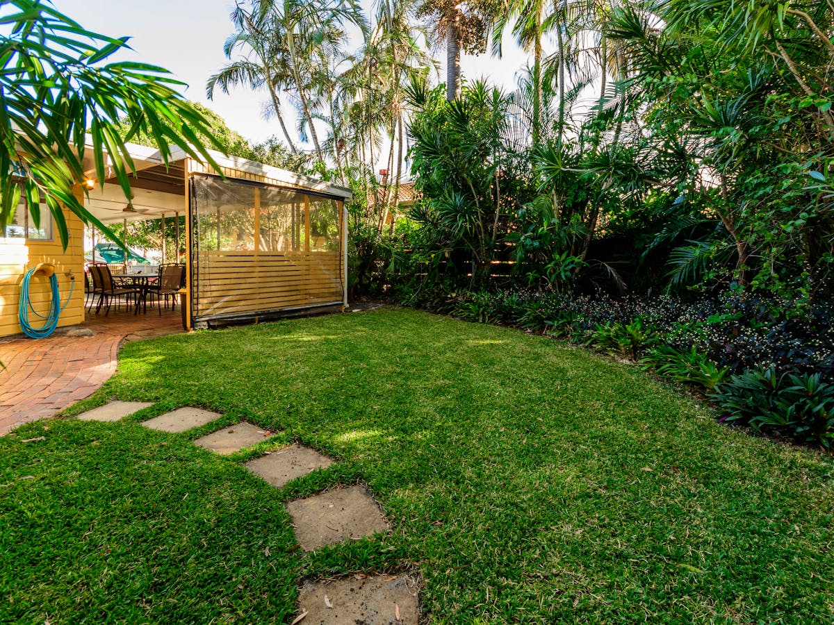 Back yard