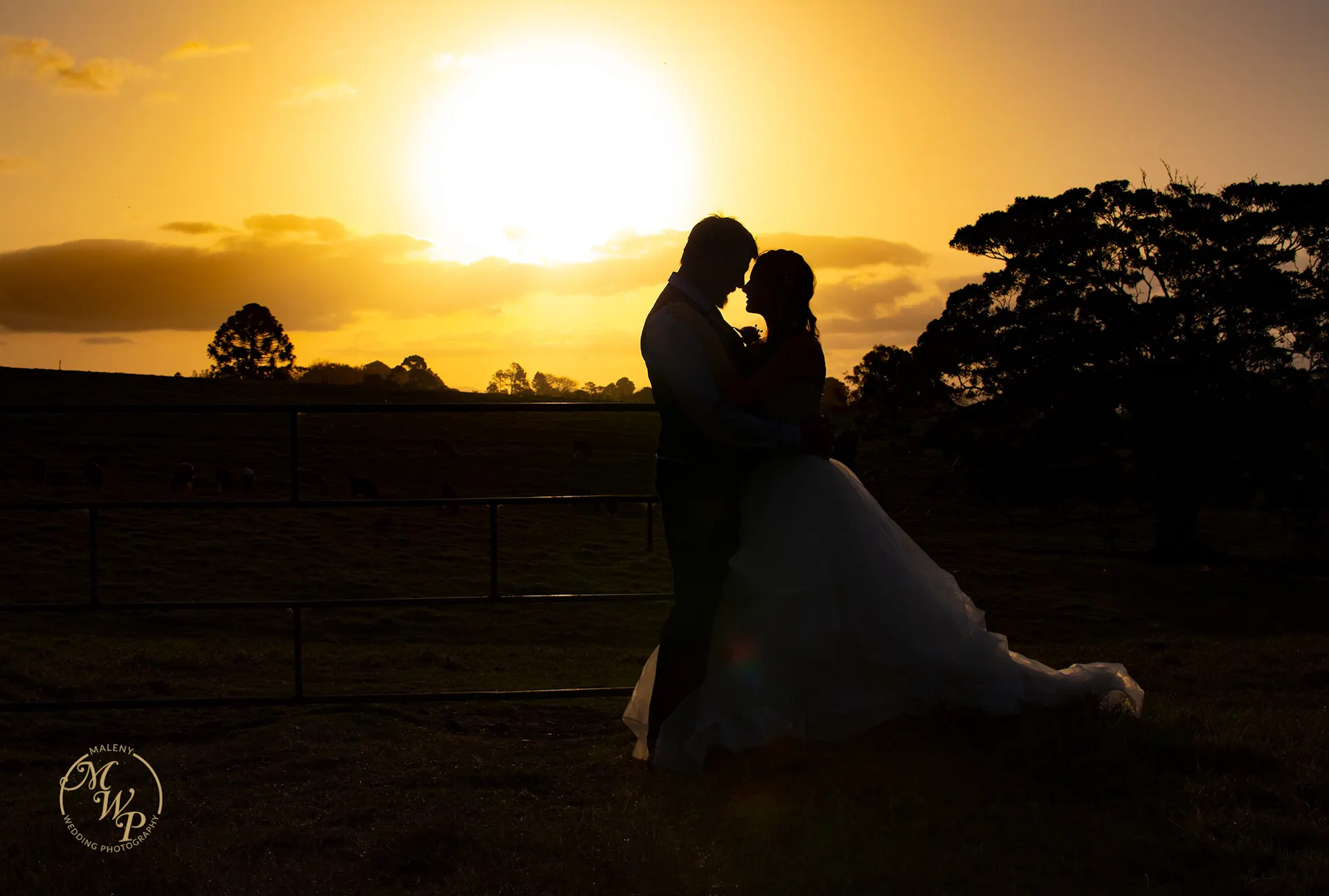 Wedding couple photographed at Sunset in Maleny  Sunshine Coast Hinterland Malenyweddingphotography